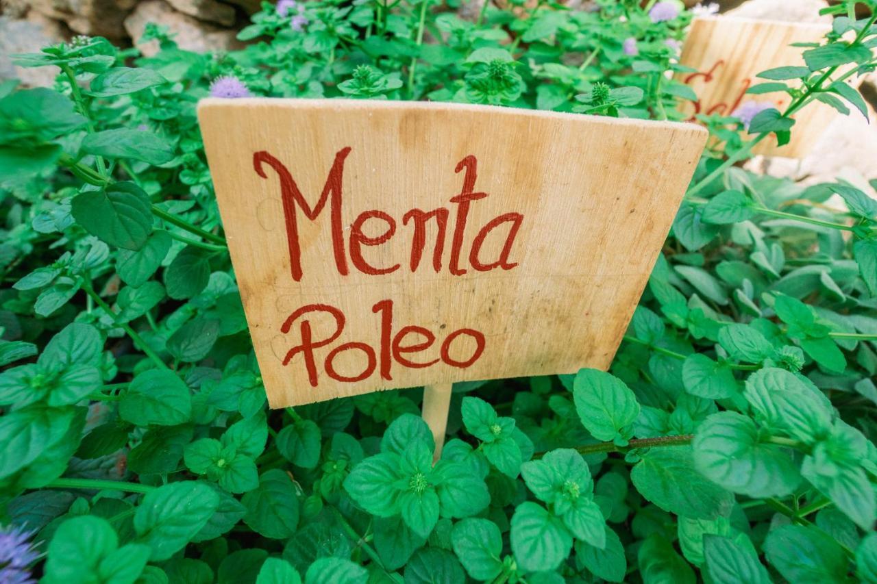 הוילה לוס סילוס Casa Emblematica Maruca Y Leli מראה חיצוני תמונה